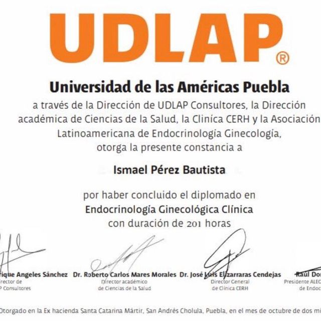 Ampliar imagen: certificate 4