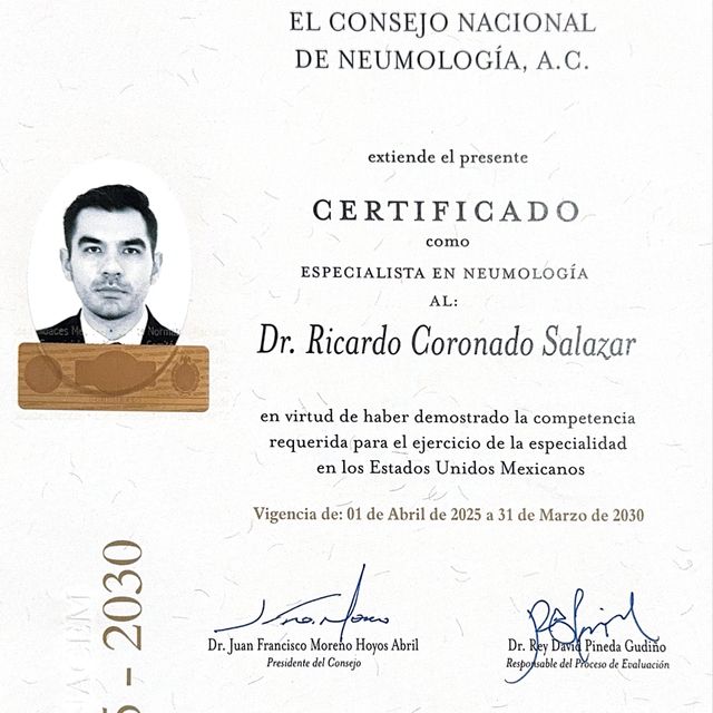 Ampliar imagen: certificate 3