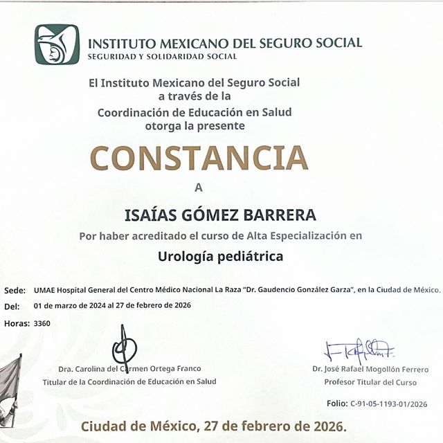 Ampliar imagen: certificate 1