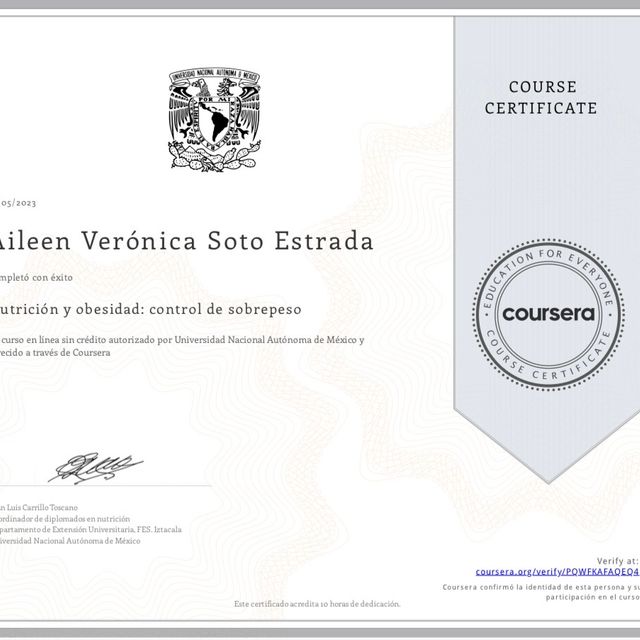 Ampliar imagen: certificate 4