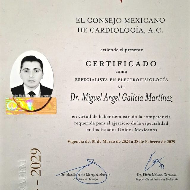 Ampliar imagen: certificate 1