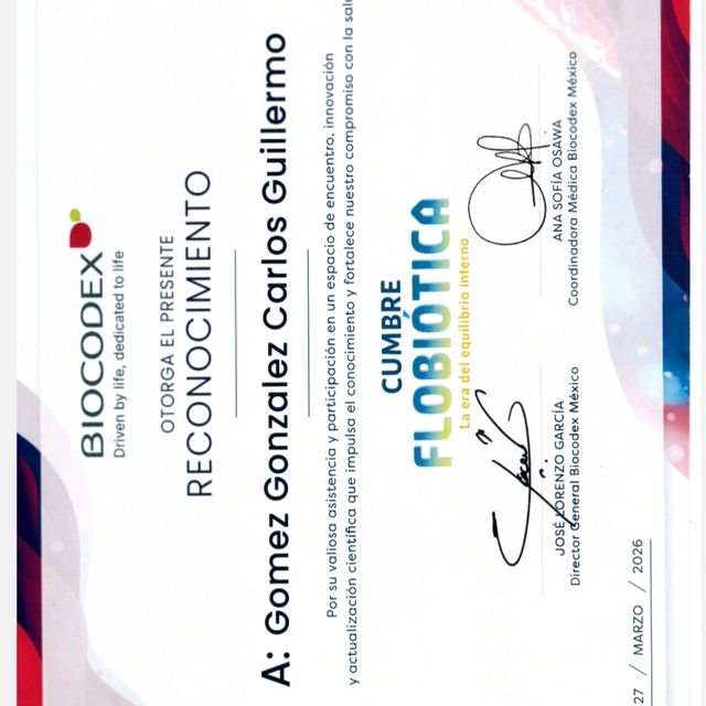 Ampliar imagen: certificate 48