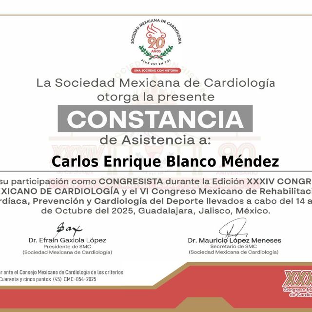 Ampliar imagen: certificate 3