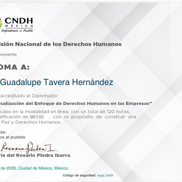 Ampliar imagen: certificate 83