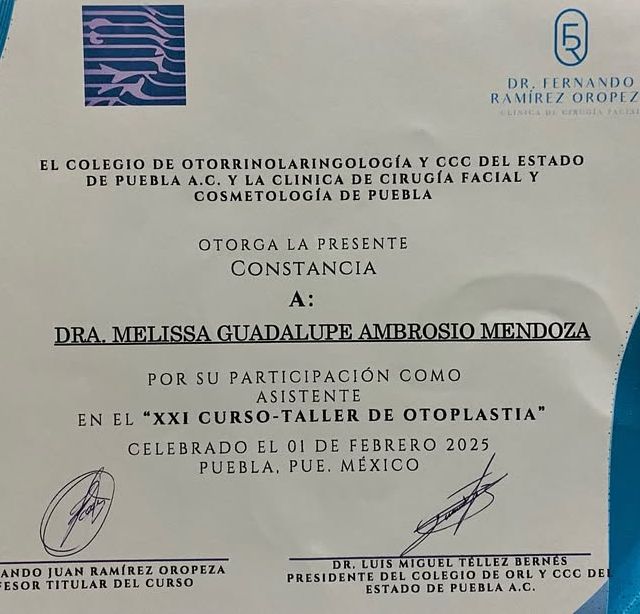 Ampliar imagen: certificate 6