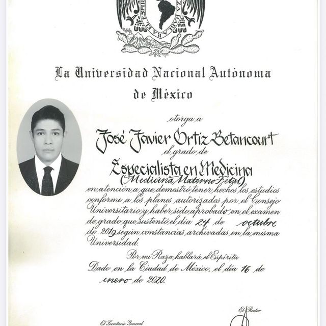 Ampliar imagen: certificate 6