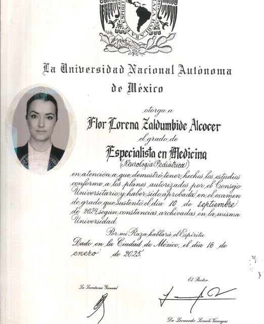 Ampliar imagen: certificate 2