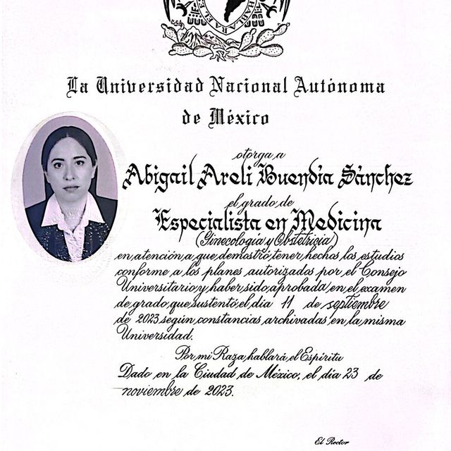 Ampliar imagen: certificate 1