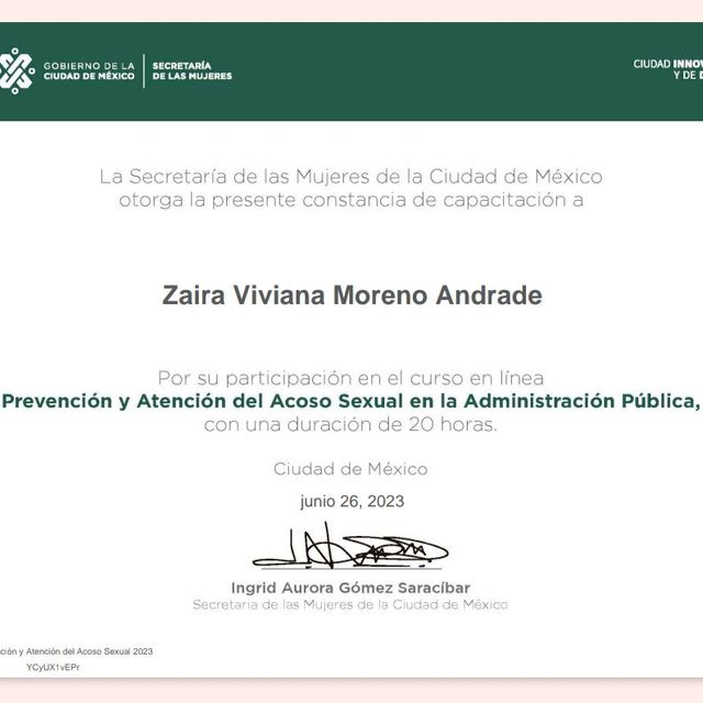 Ampliar imagen: certificate 9