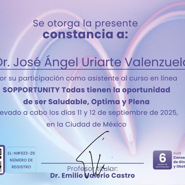 Ampliar imagen: certificate 2