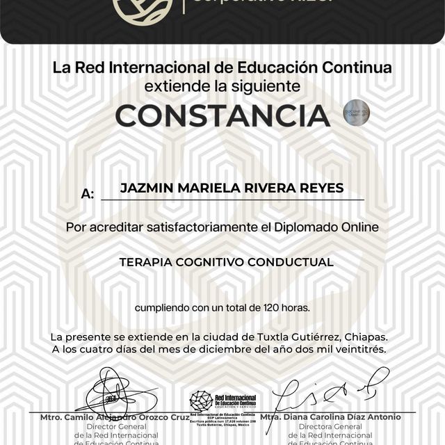 Ampliar imagen: certificate 11