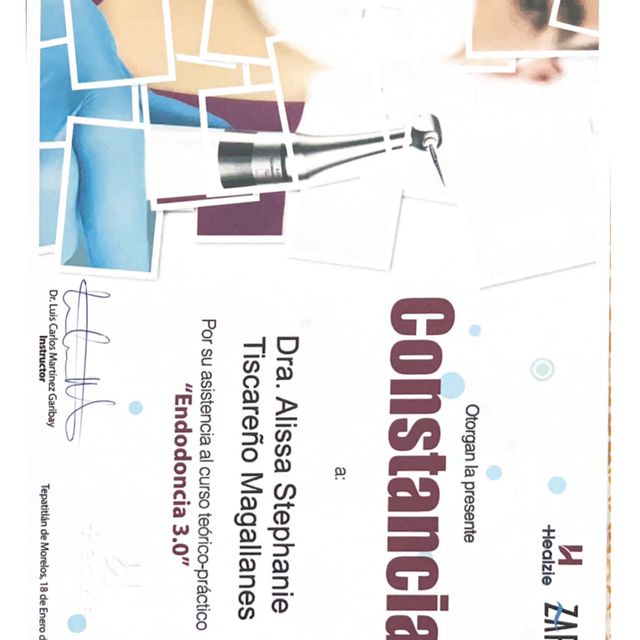 Ampliar imagen: certificate 7
