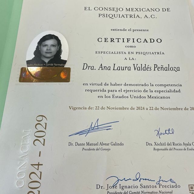 Ampliar imagen: certificate 1