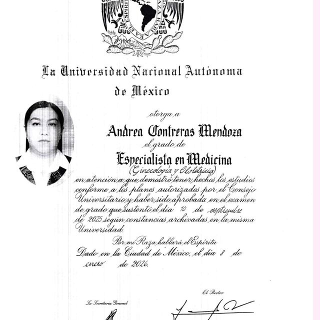 Ampliar imagen: certificate 3