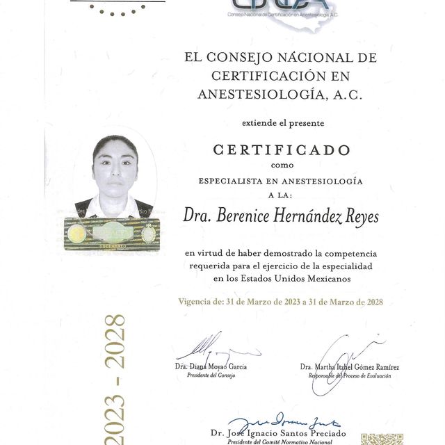 Ampliar imagen: certificate 5