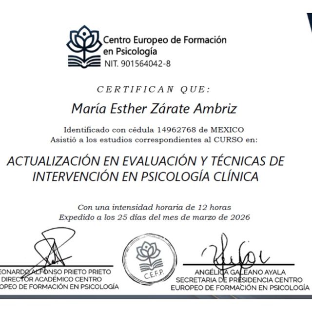 Ampliar imagen: certificate 5