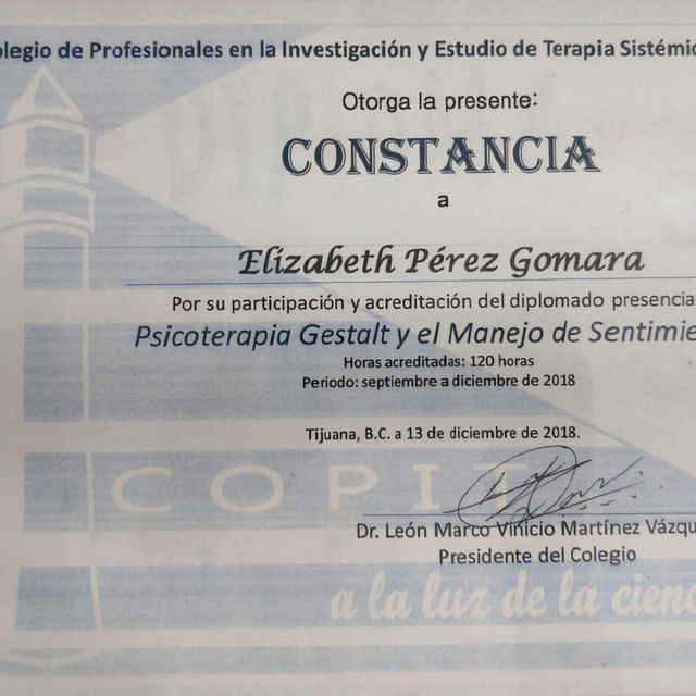 Ampliar imagen: certificate 9