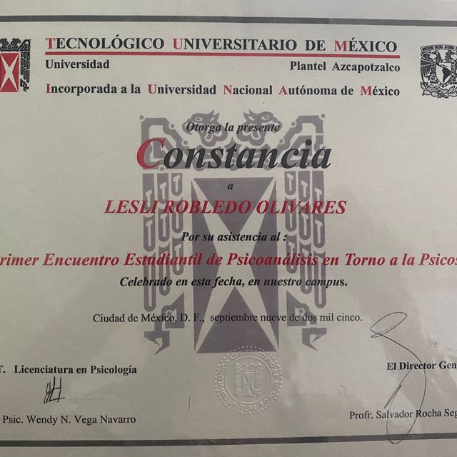 Ampliar imagen: certificate 19