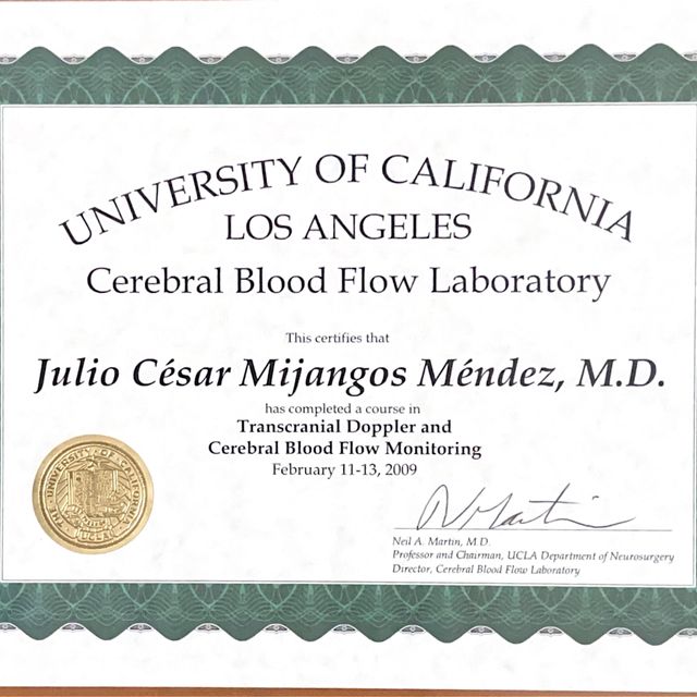 Ampliar imagen: certificate 1