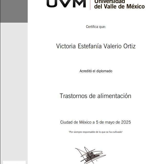 Ampliar imagen: certificate 3