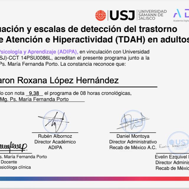 Ampliar imagen: certificate 4