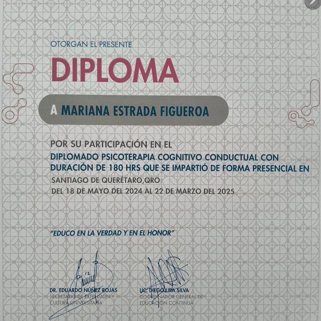 Ampliar imagen: certificate 3
