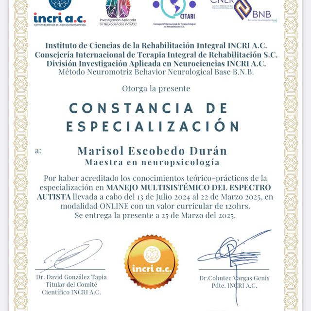 Ampliar imagen: certificate 2