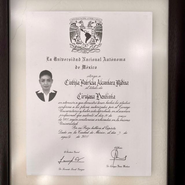 Ampliar imagen: certificate 4