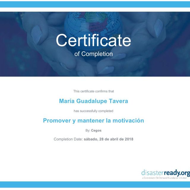 Ampliar imagen: certificate 9