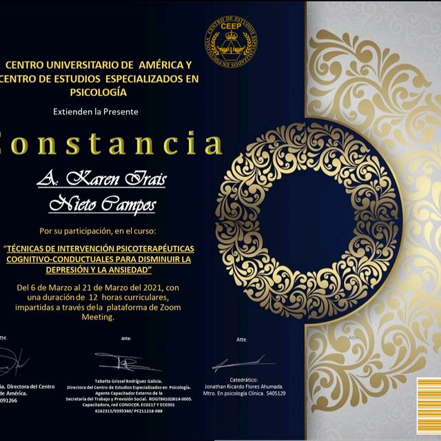 Ampliar imagen: certificate 3