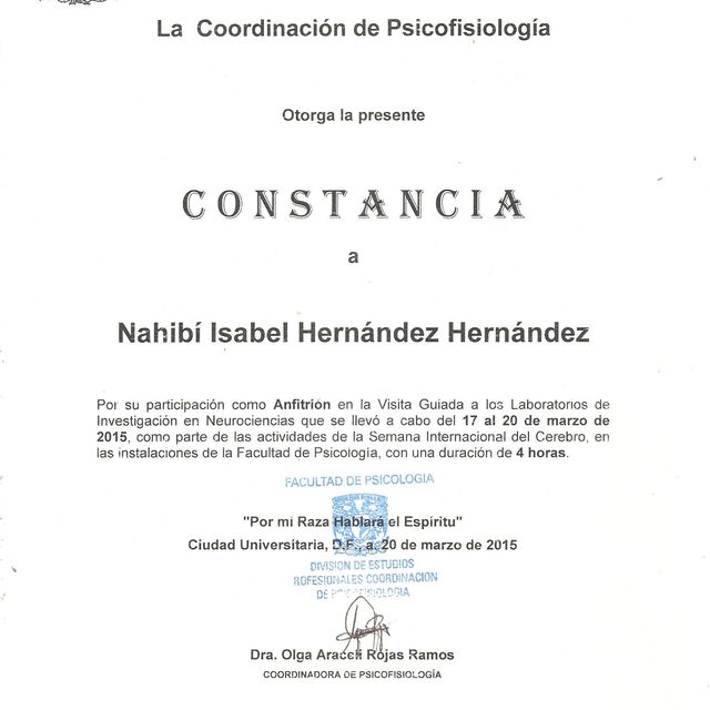 Ampliar imagen: certificate 4