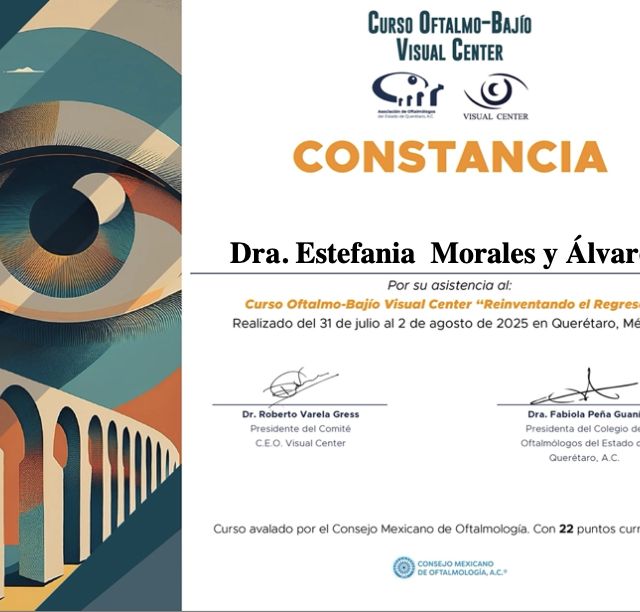 Ampliar imagen: certificate 5