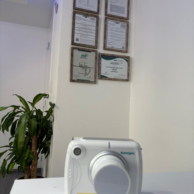 Ampliar imagen: certificate 4