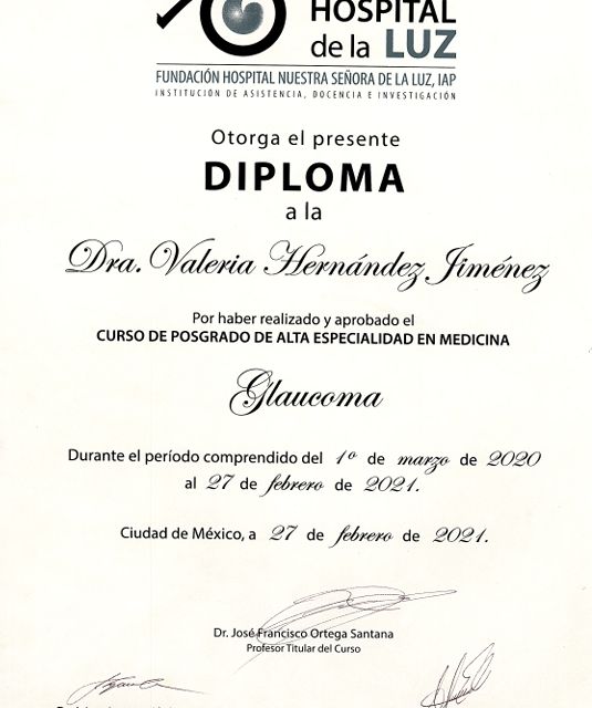Ampliar imagen: certificate 4
