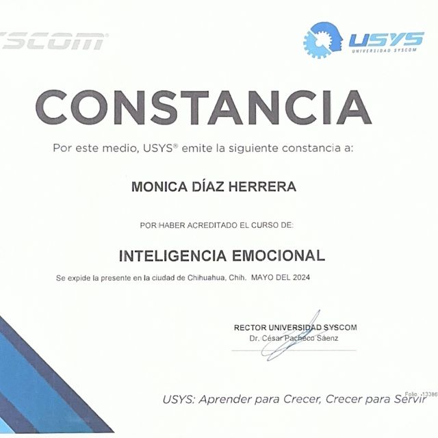 Ampliar imagen: certificate 2