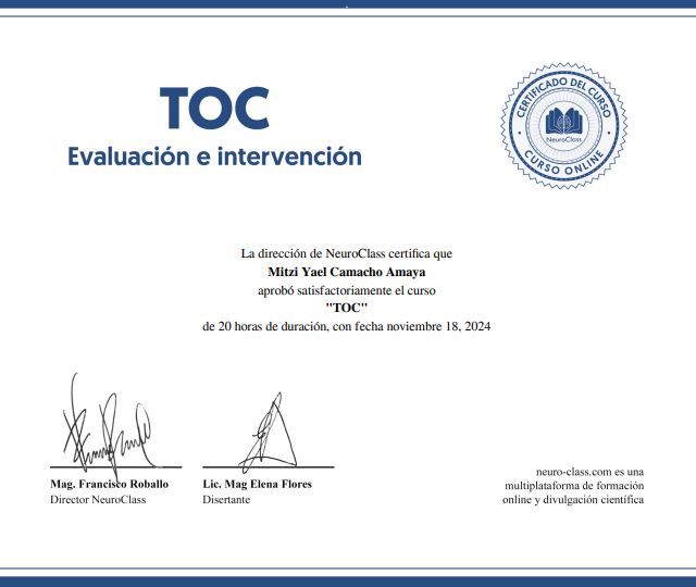 Ampliar imagen: certificate 9