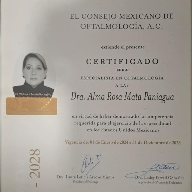 Ampliar imagen: certificate 3