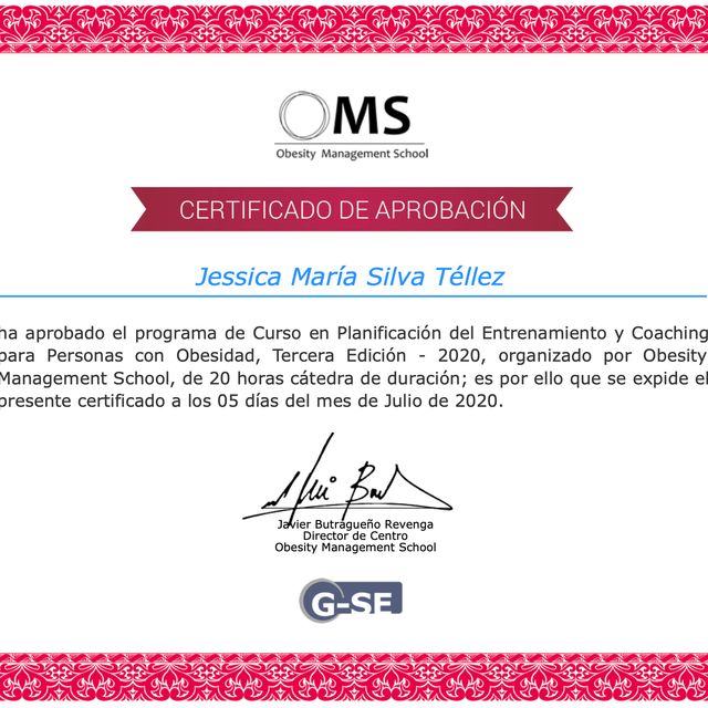 Ampliar imagen: certificate 8