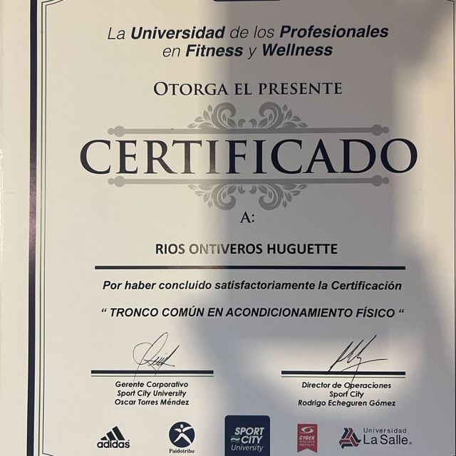 Ampliar imagen: certificate 1