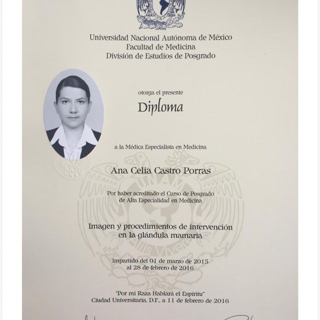 Ampliar imagen: certificate 1