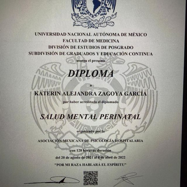 Ampliar imagen: certificate 4