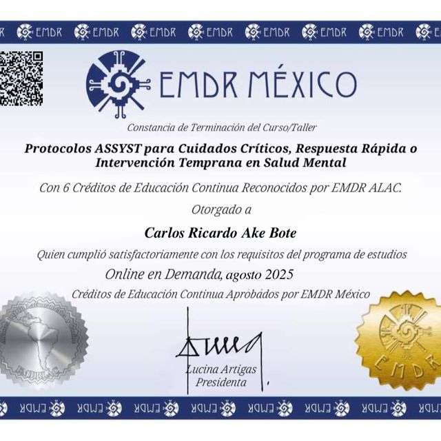 Ampliar imagen: certificate 4