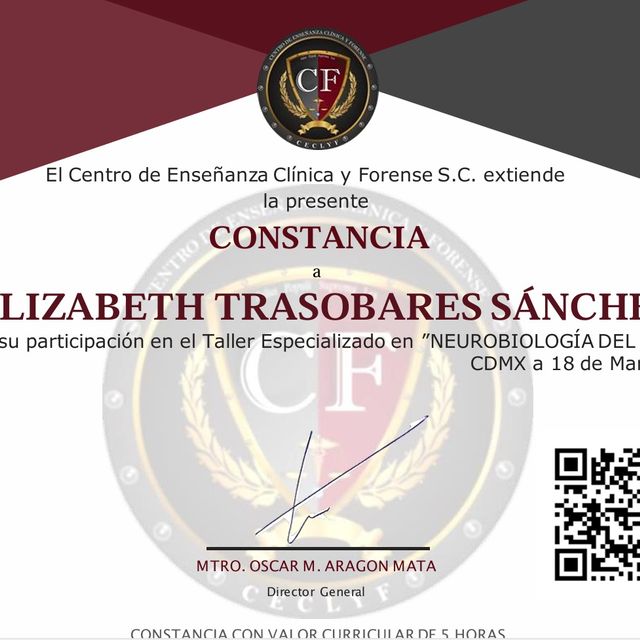 Ampliar imagen: certificate 11