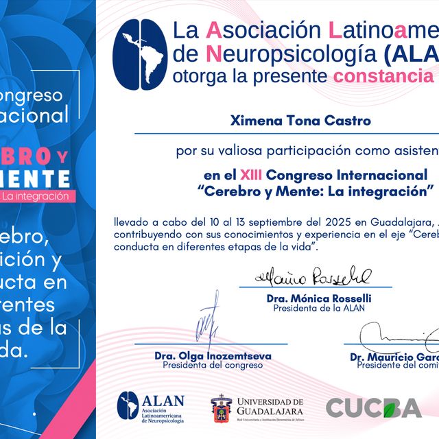 Ampliar imagen: certificate 1