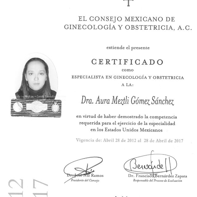 Ampliar imagen: certificate 12