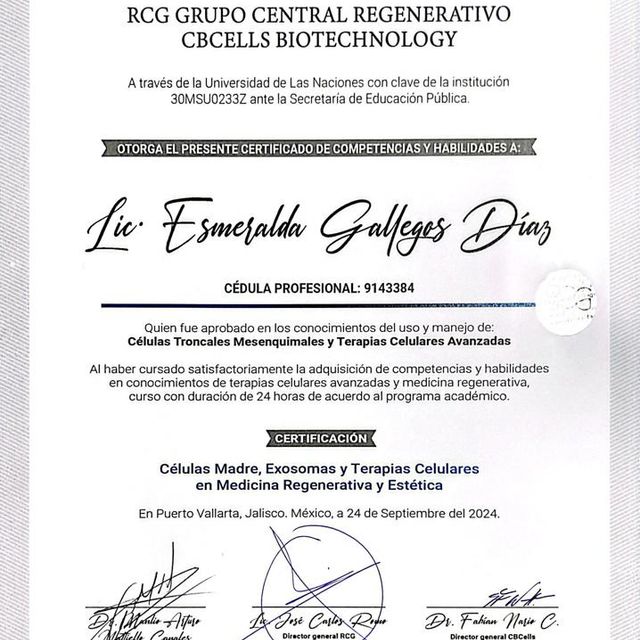 Ampliar imagen: certificate 2