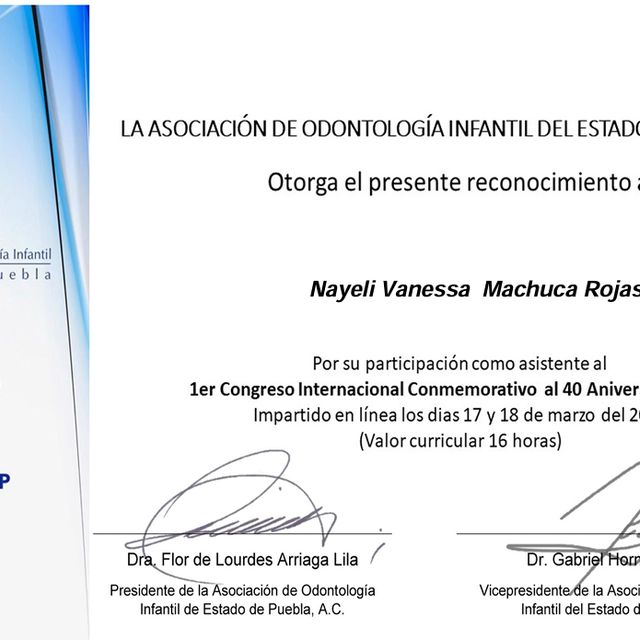 Ampliar imagen: certificate 6