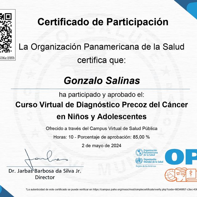 Ampliar imagen: certificate 4