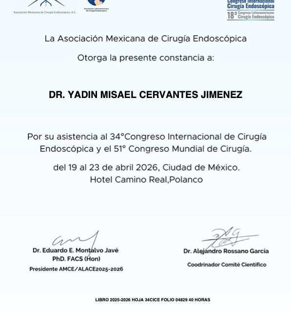 Ampliar imagen: certificate 2