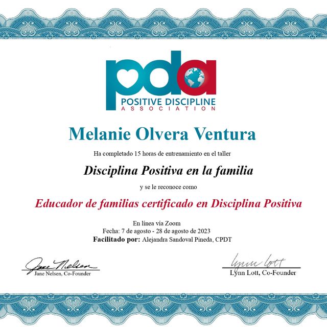 Ampliar imagen: certificate 6
